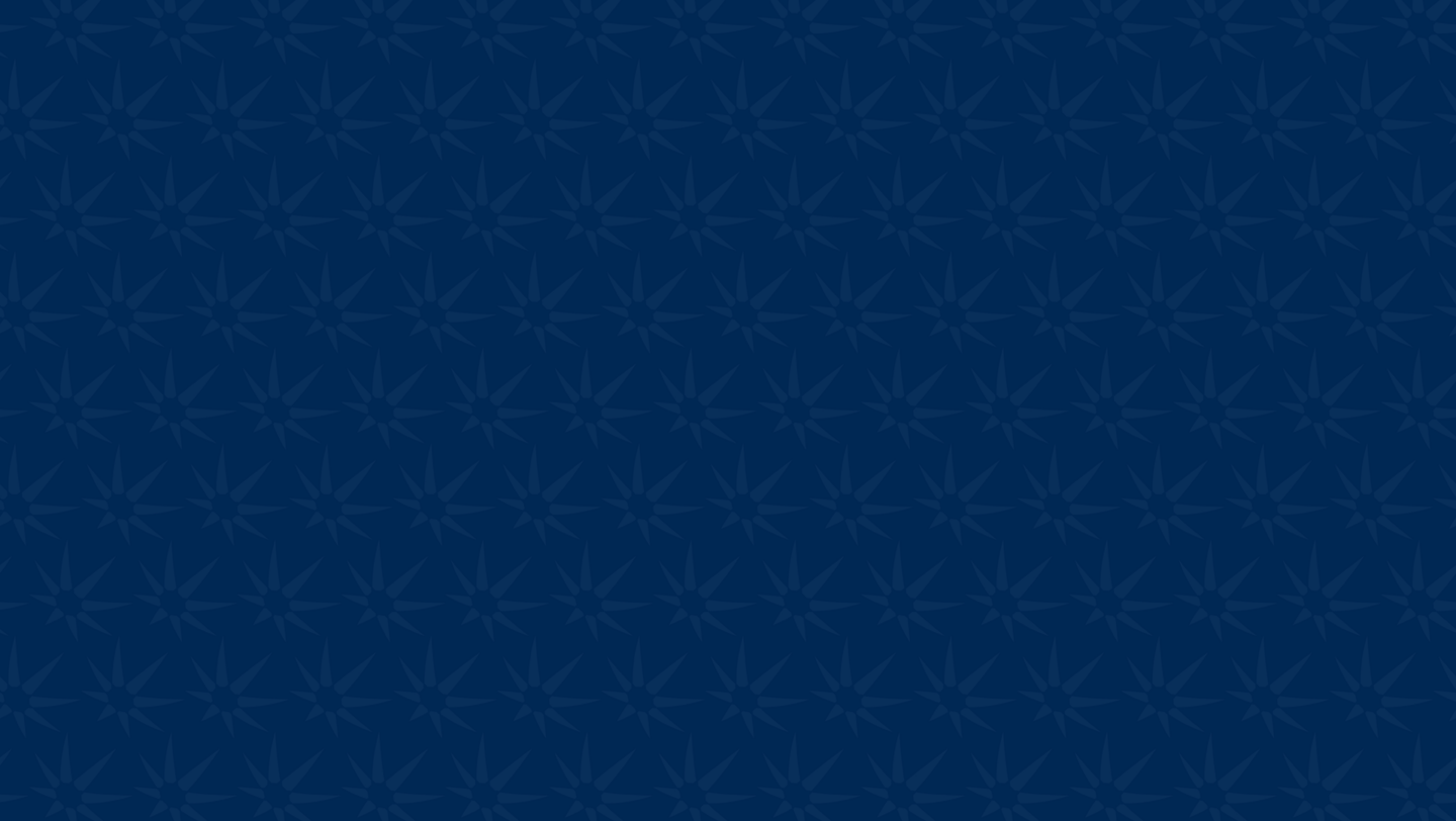 Valeura icon bg pattern