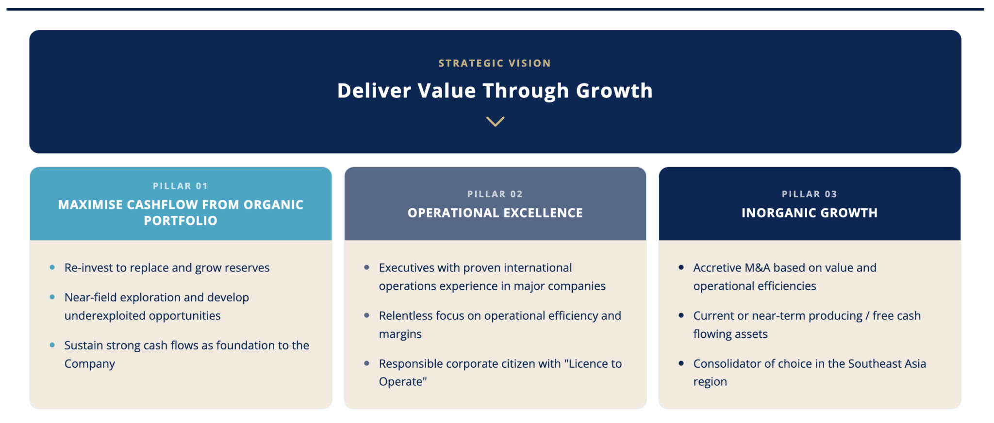 Infographic business strategy value chain competitive advantage